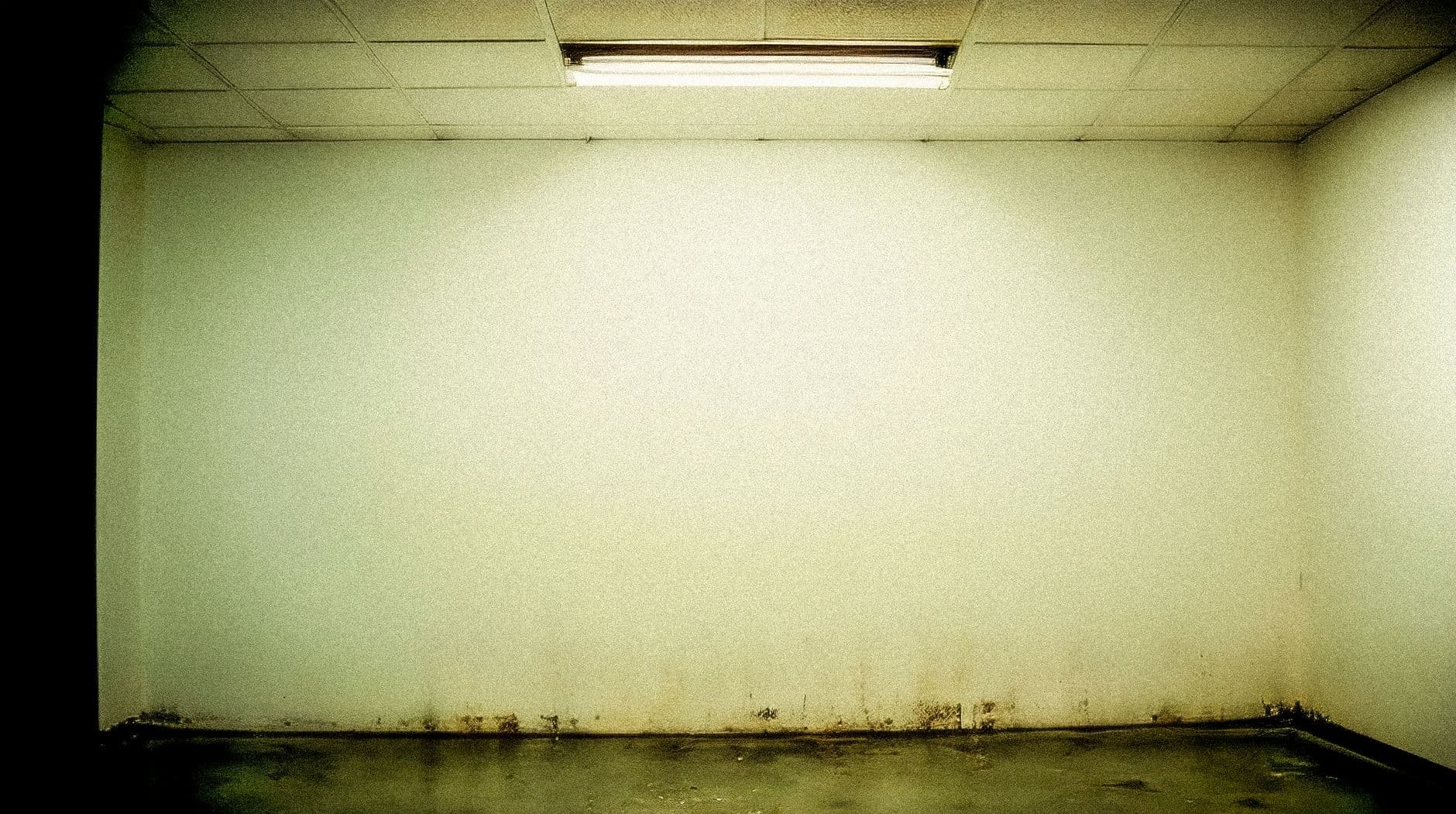Tracing a Ceiling Stain Upward